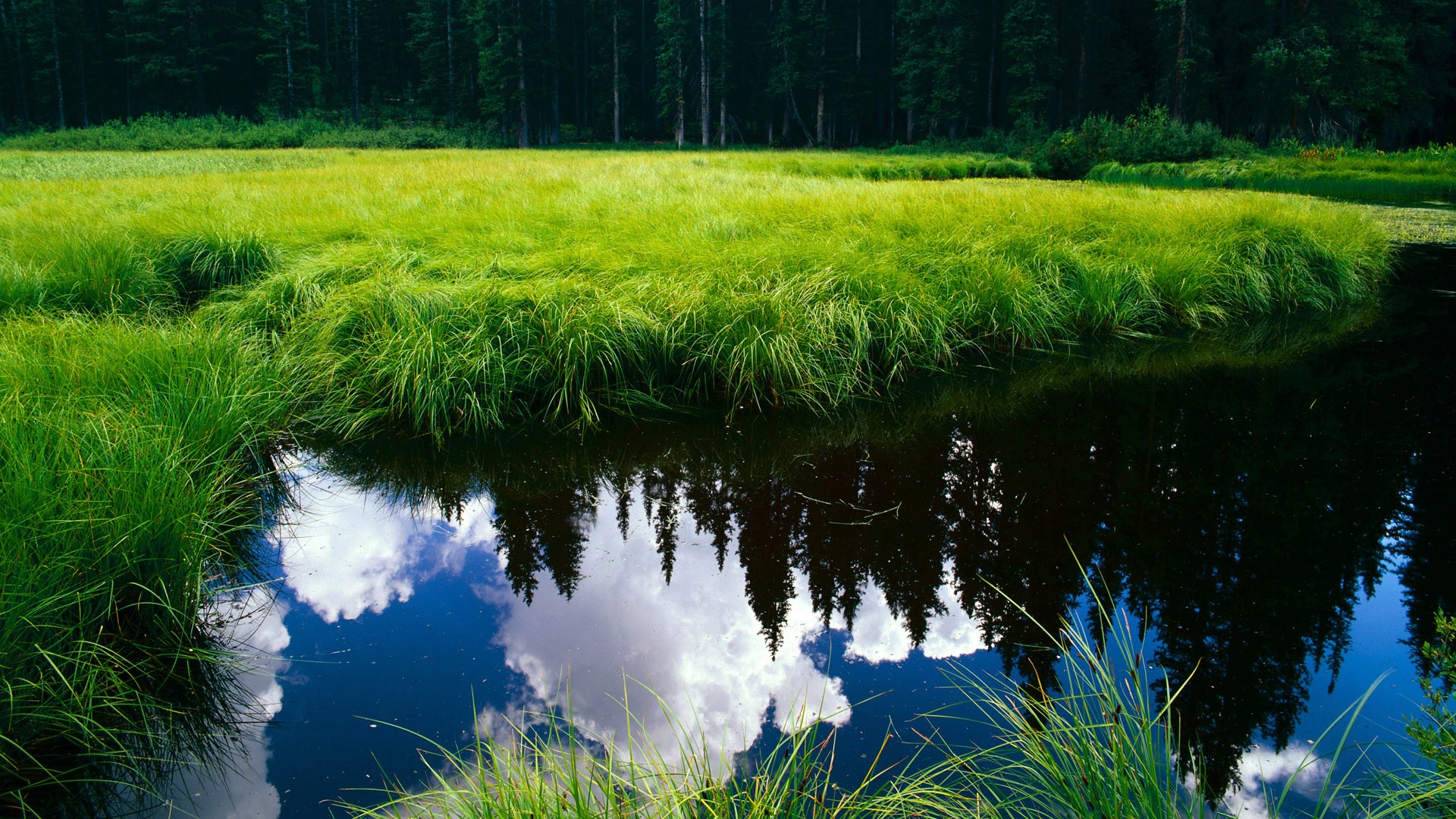 足球场上的独奏曲，阿圭罗在毕尔巴鄂的焦点之夜
