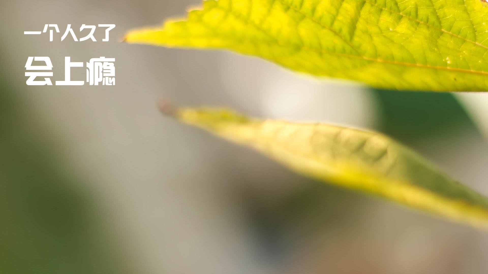 老兵不死！德罗赞末节13分撕碎质疑，38岁利刃斩落联盟最强防线