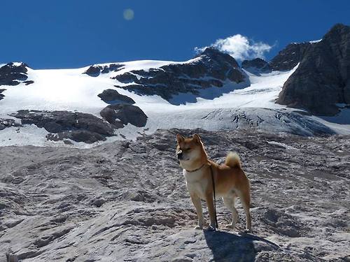 穿越战火的足球意志，莱万带队力克莱比锡红牛掀翻的南美旋风