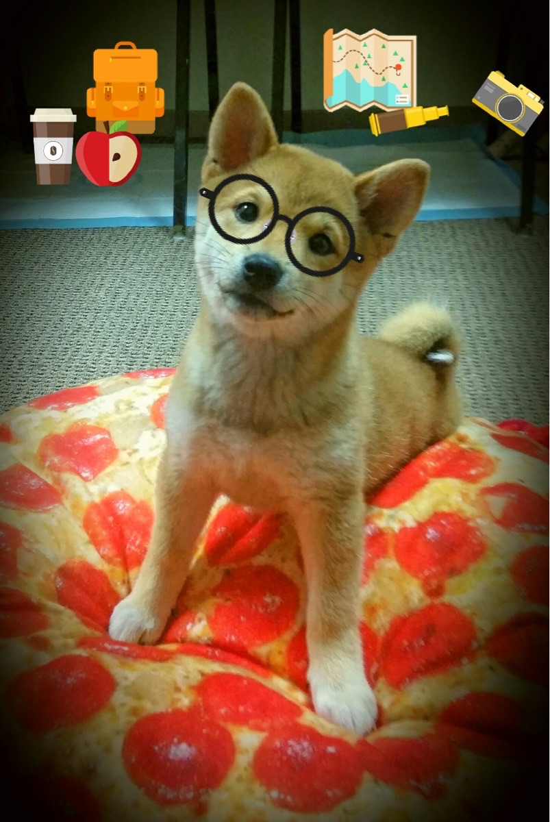 德甲争冠战为何成了牙买加式冲刺与卫冕冠军的法国式叹息