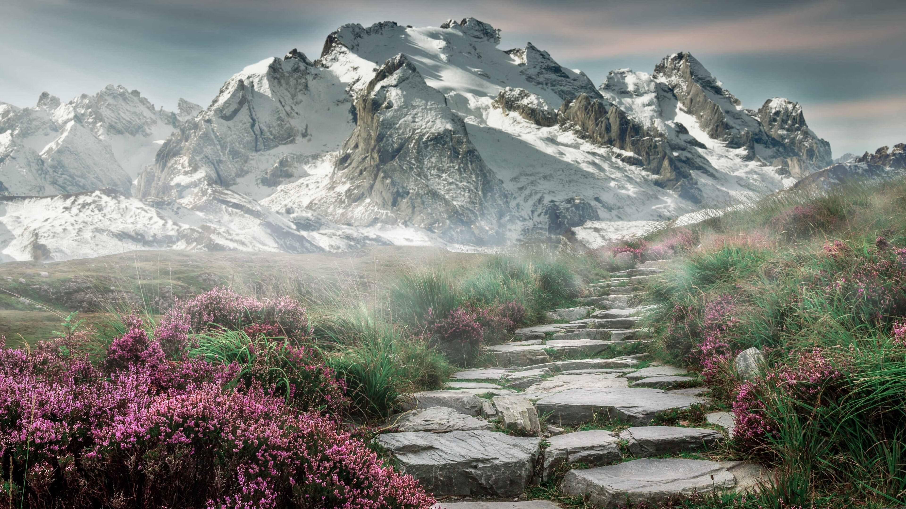 北境狂潮，猛龙的连续得分法则如何肢解了老鹰的天空之梦？