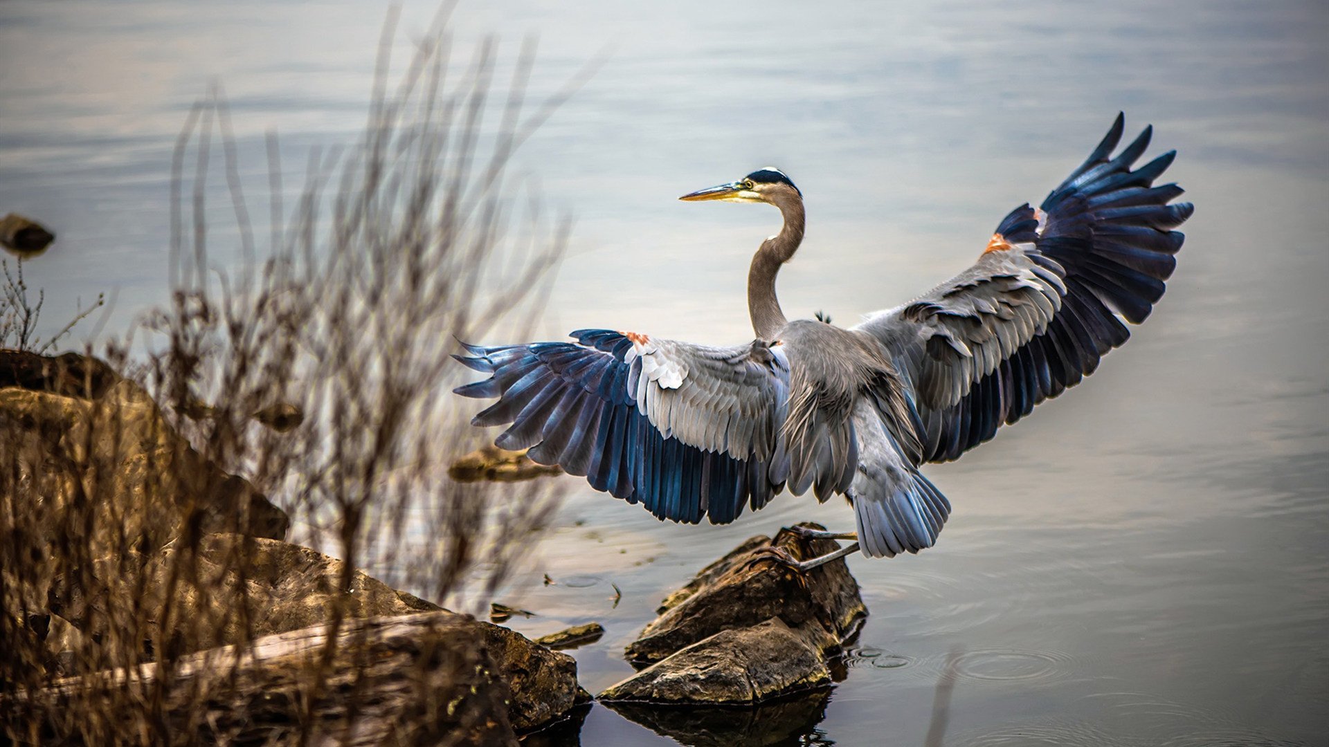 南美意志的碾压，马丁内利如何用一滴雨，刺穿了莱比锡的精密齿轮