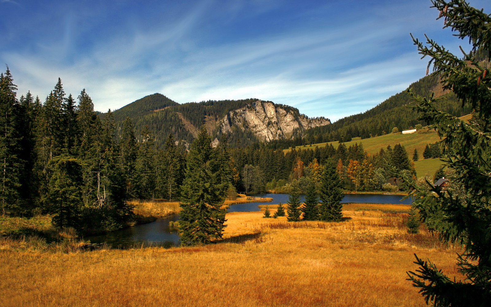巨人击碎风车，新疆队终结独行侠，马克西的三分雨改写历史