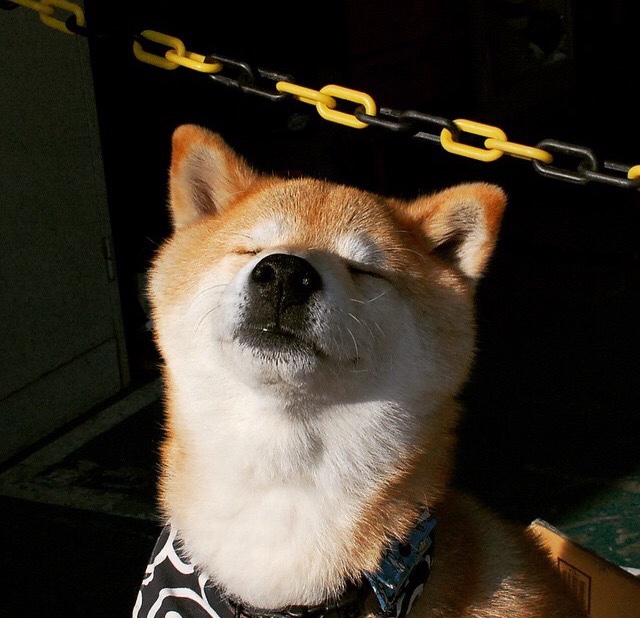 绿茵场上的异大陆对决,当袋鼠军团遇上阿特拉斯雄狮