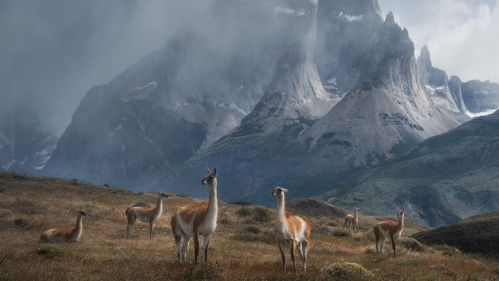 跨越太平洋的胜利,浙江队逆转快船,霍勒迪关键三分背后的大历史与小人物
