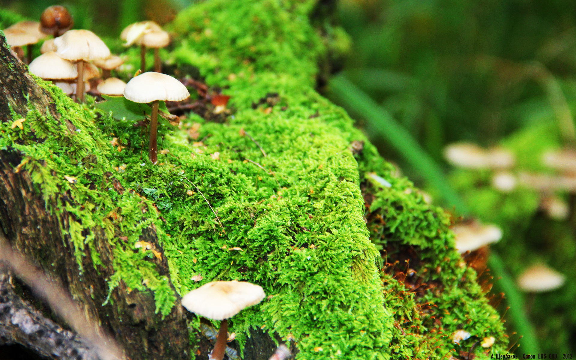 双面欧冠，内马尔爆发背后的战术困境，拜仁压哨绝杀揭示的真正巨人