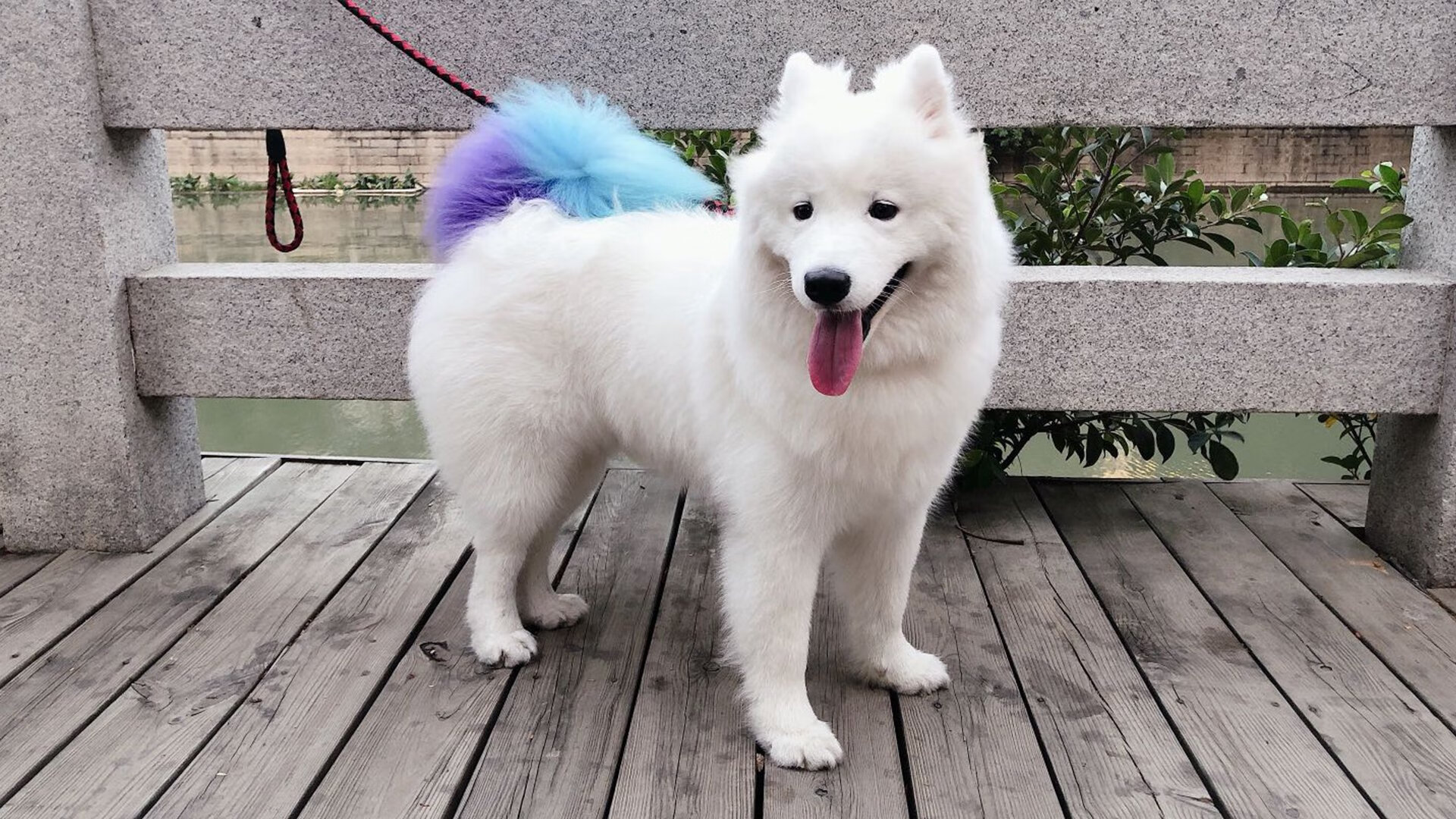 北欧童话的终结与新生，突尼斯轻取丹麦，厄德高在2026世界杯接管比赛