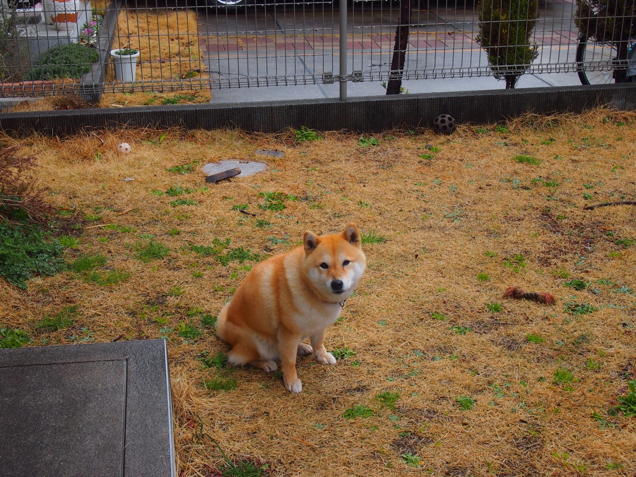 战术纪律的胜利,厄德高压制级表现如何颠覆强权,助巴拉圭加时力克罗马军团