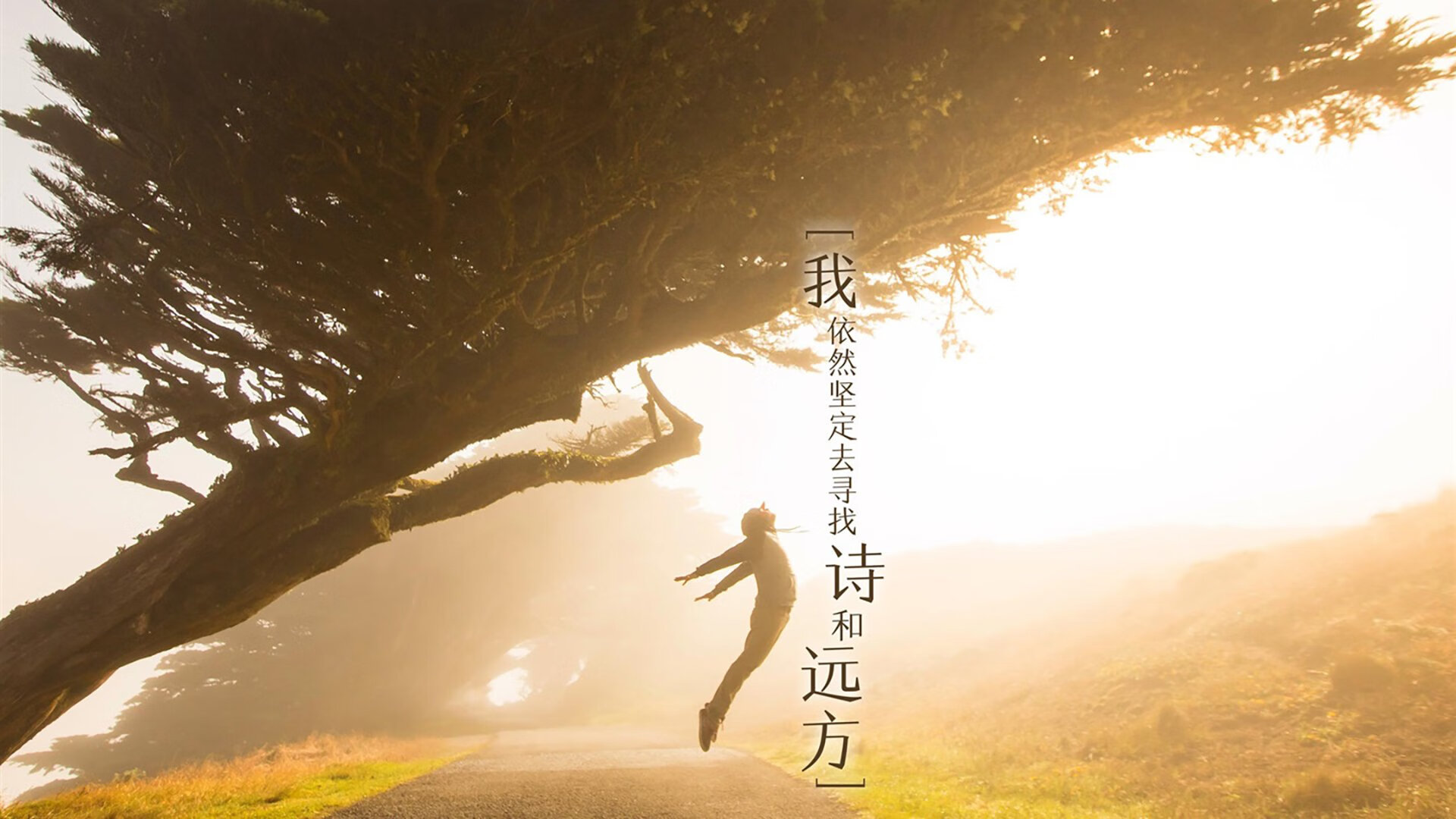 神话再临,当希腊铁蹄踏碎阿尔及利亚迷宫,梅西的金苹果投向何方?