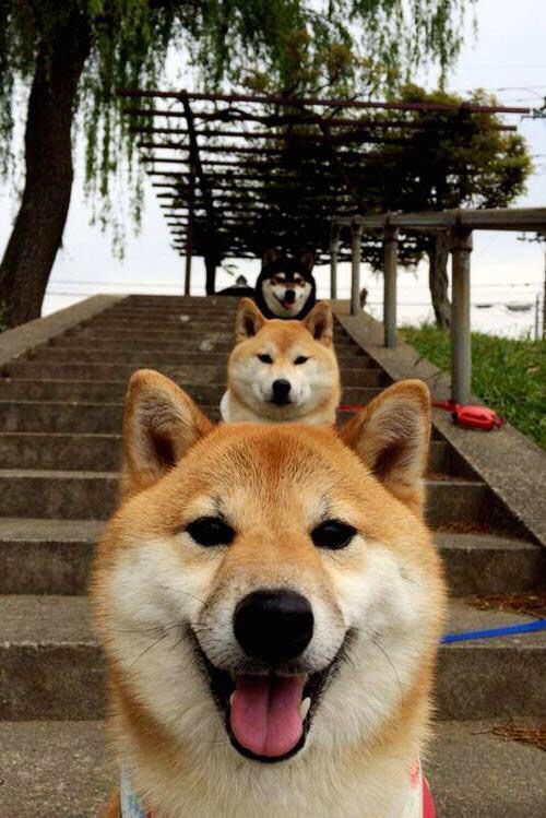 棋局与河流，当掌控成为一种哲学