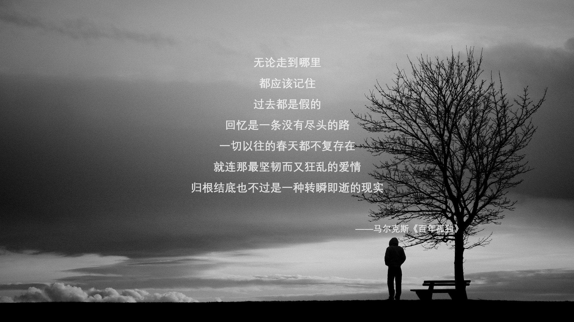 当哥伦比亚撕碎控球率魔咒，一场颠覆世界杯教科书的防守反击盛宴