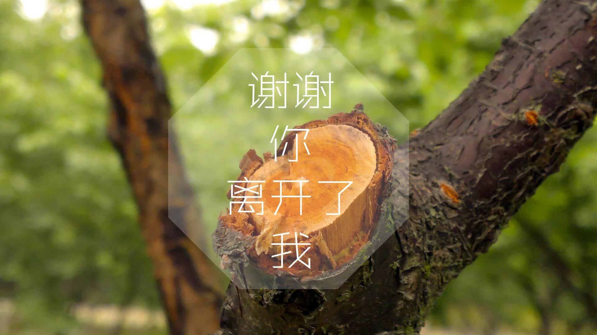 黑马踏碎豪门梦，2026世界杯惊天冷门，10人伊拉克1-0葡萄牙，坎塞洛独木难支